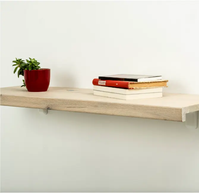 Minimalist wooden shelf adorned with a small plant and books